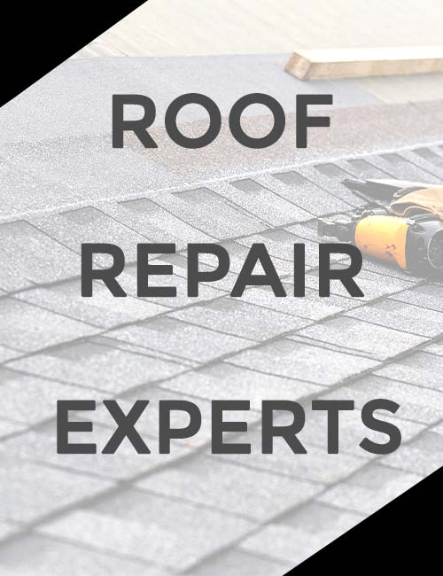 All-In-Construction & Restoration Images