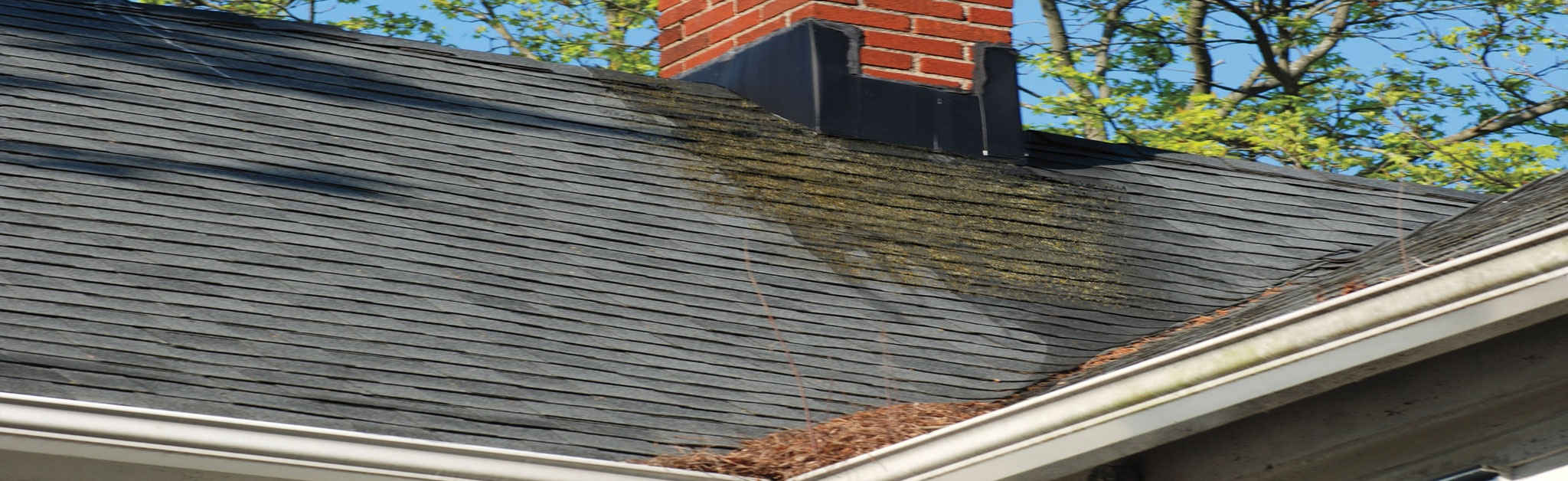 All - N - Construction & Restoration Images